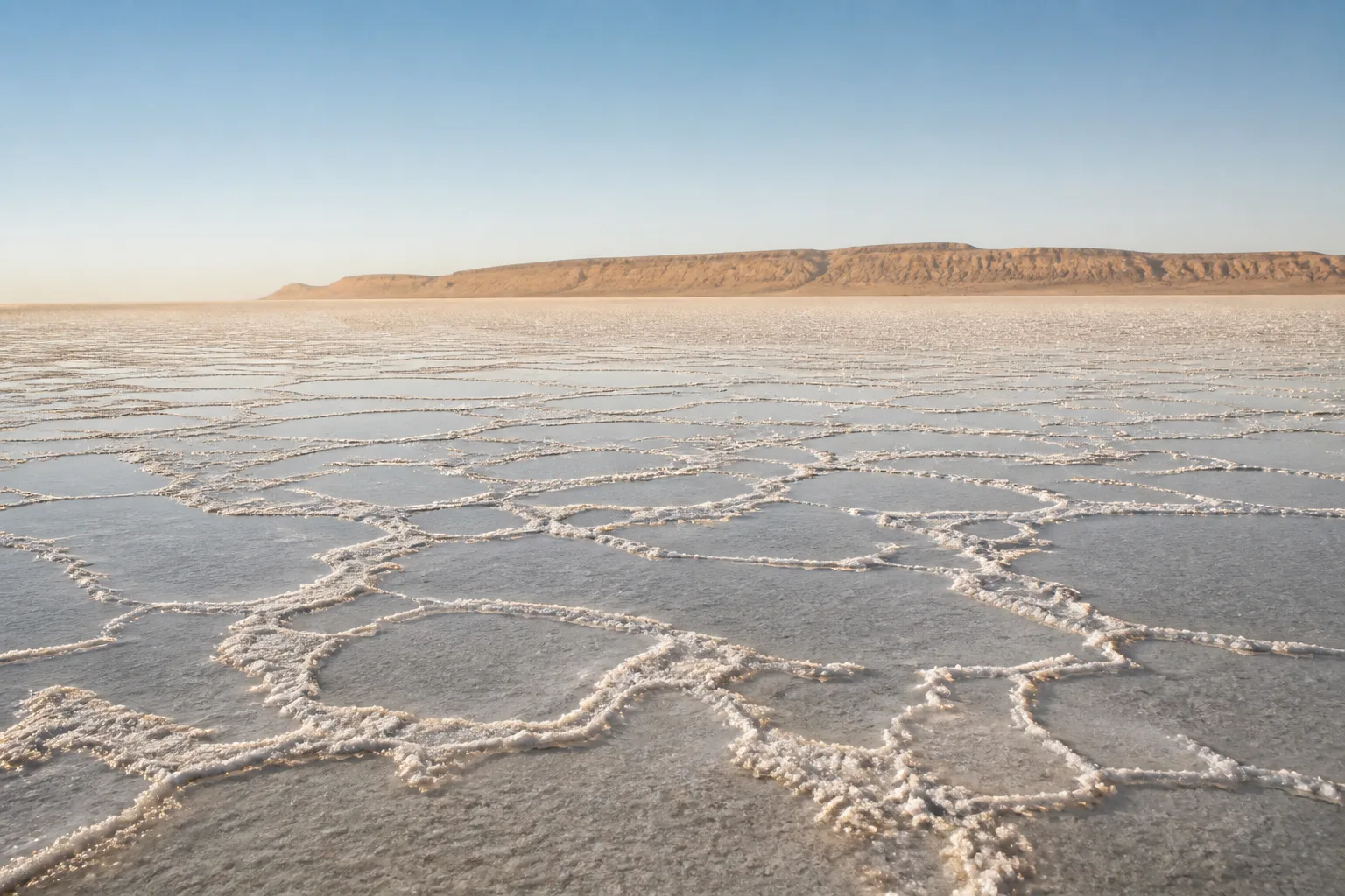 Croûte de sel et horizon du Chott el-Jérid.