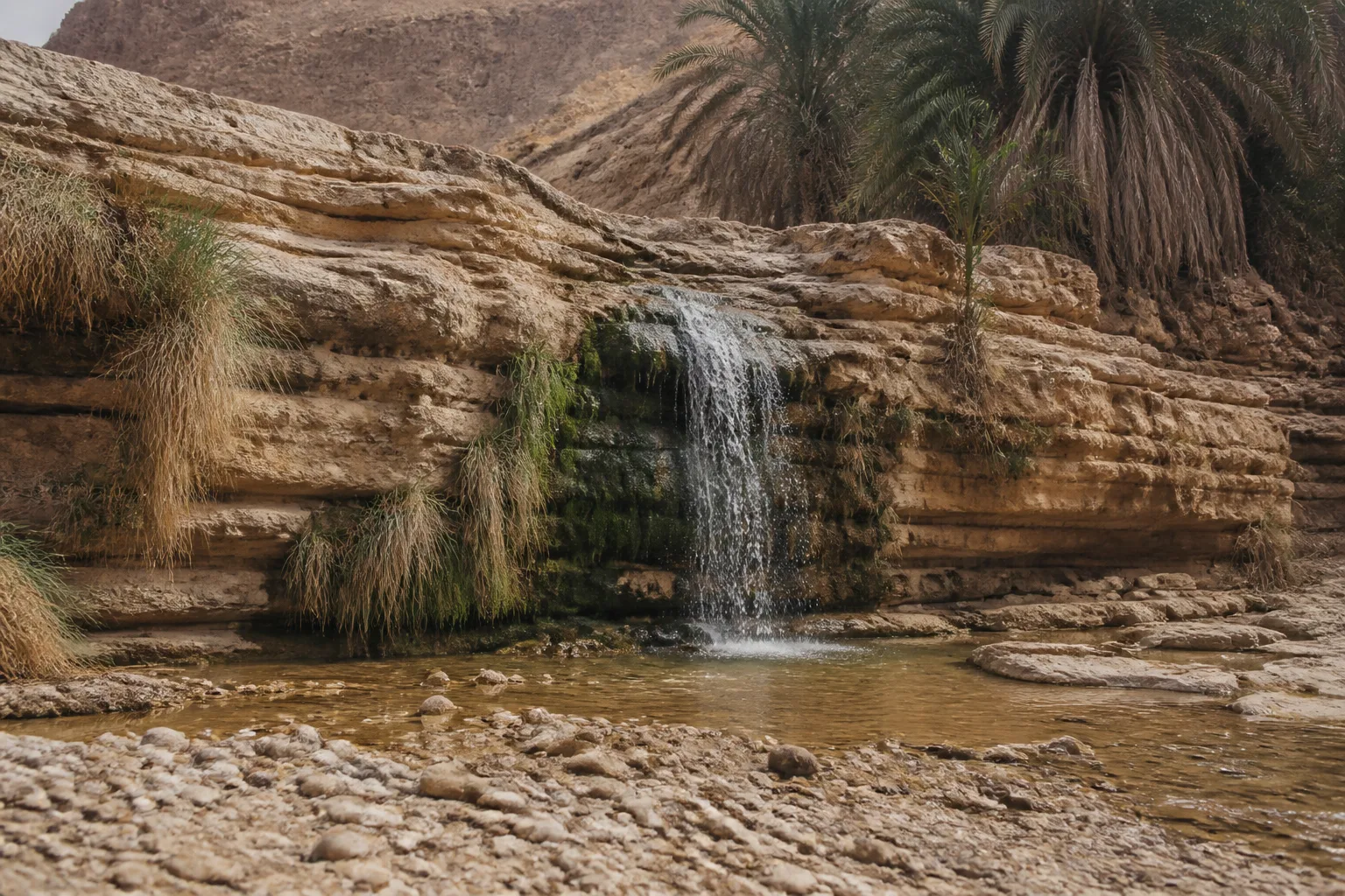 Cascade naturelle dans le canyon de Tamerza.
